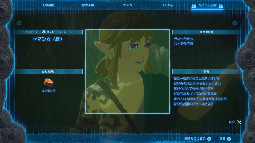 ヤマシカ（雌）