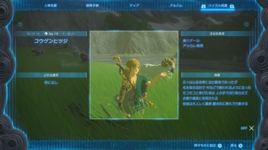 コウゲンヒツジ