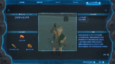 コウテイヒグマ