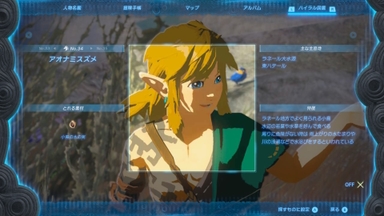 アオナミスズメ