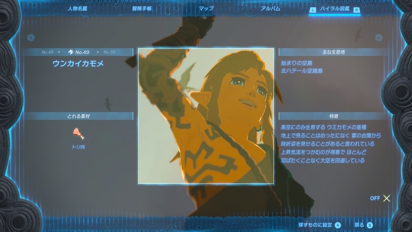 ウンカイカモメ