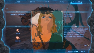 オルディンダチョウ