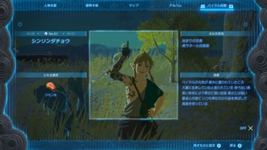 シンリンダチョウ