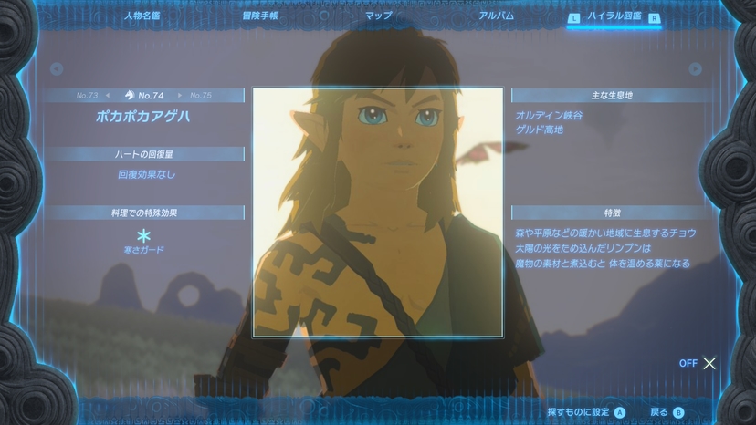 ポカポカアゲハ