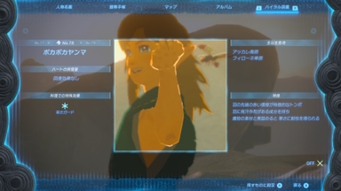 ポカポカヤンマ