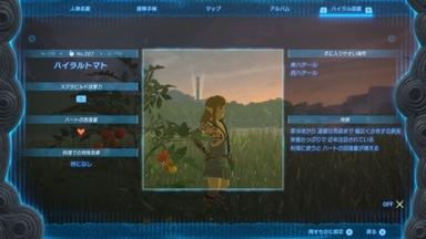 ハイラルトマト