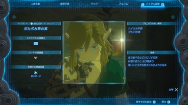 ポカポカ草の実