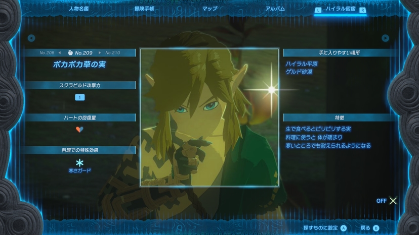 ポカポカ草の実