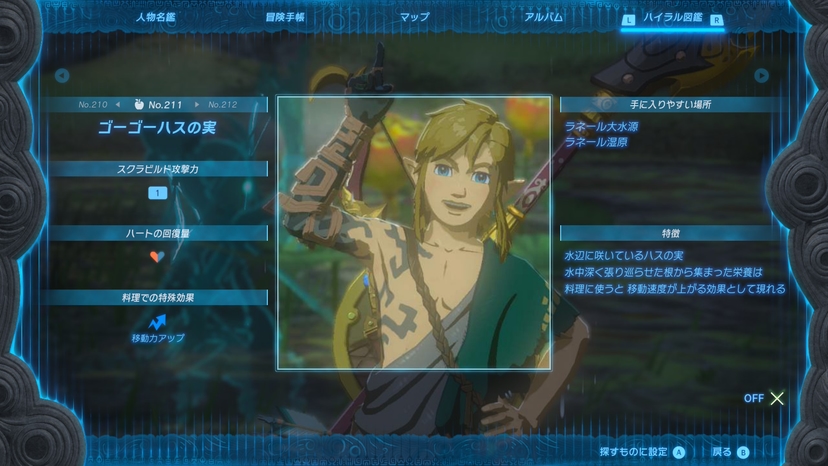 ゴーゴーハスの実