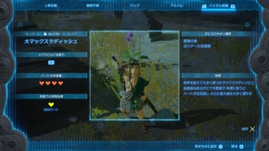 大マックスラディッシュ