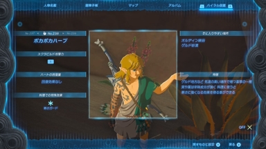 ポカポカハーブ