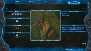 ガッツニンジン