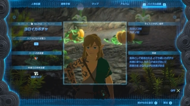 ヨロイカボチャ