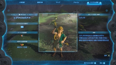 ヒダマリカボチャ