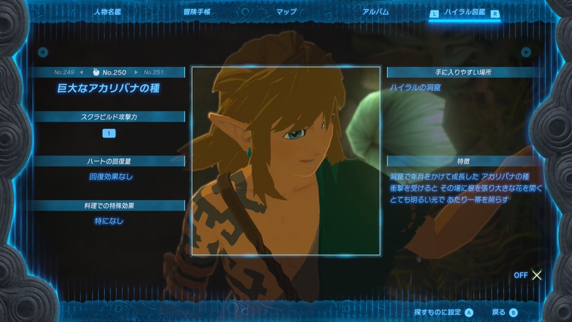 巨大なアカリバナの種