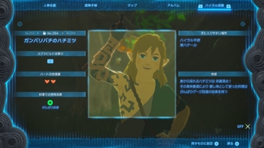 ガンバリバチのハチミツ