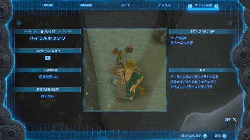 ハイラルボックリ