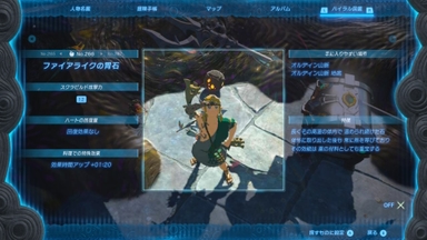 ファイアライクの胃石