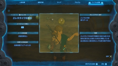 エレクライクの胃石