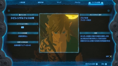 シビレリザルフォスの角