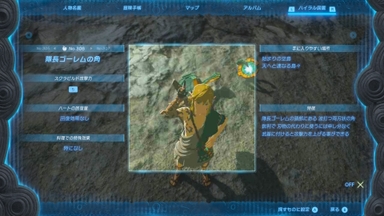 隊長ゴーレムの角