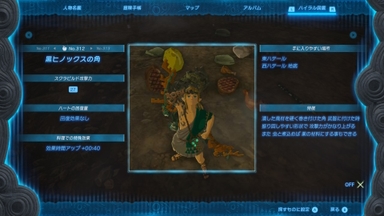 黒ヒノックスの角