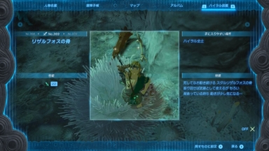 リザルフォスの骨