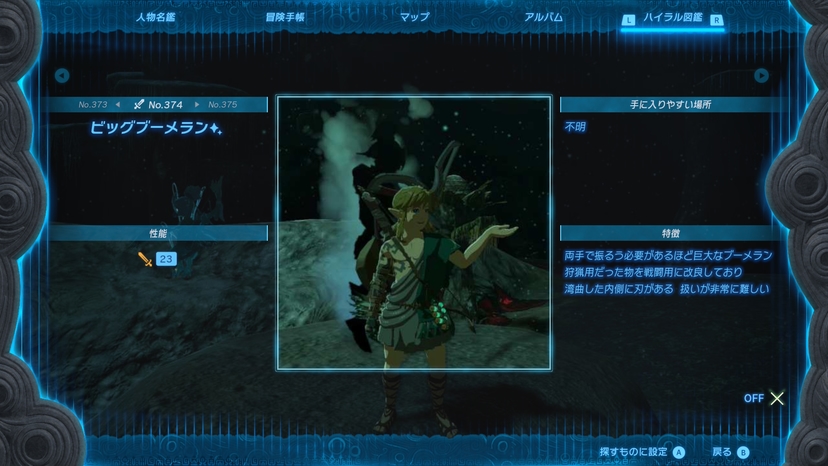 ビッグブーメラン✨