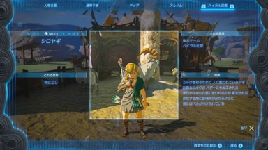 シロヤギ
