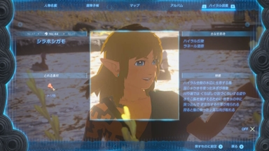 シラホシガモ