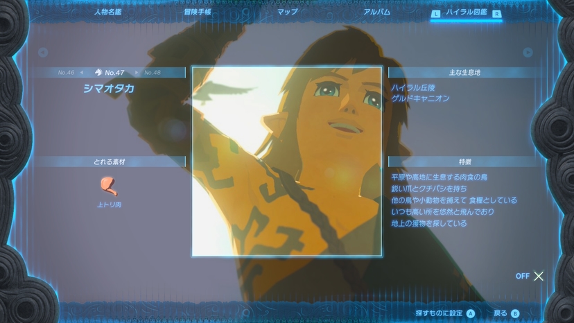 シマオタカ