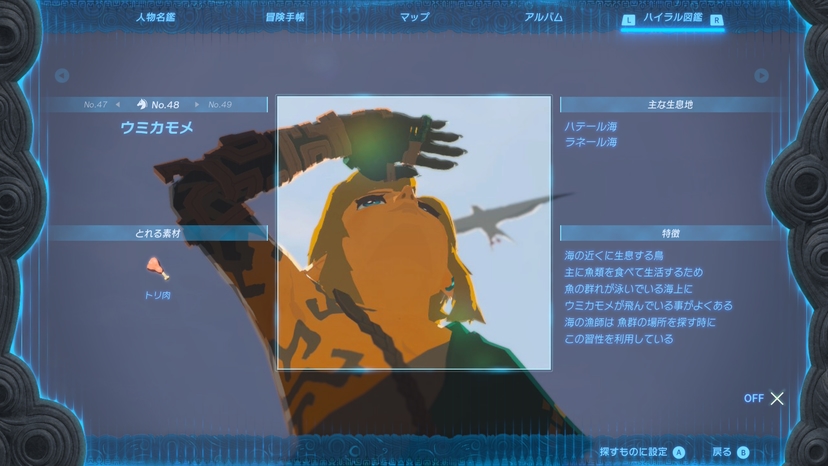 ウミカモメ