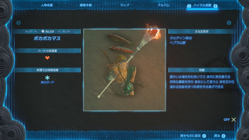 ポカポカマス