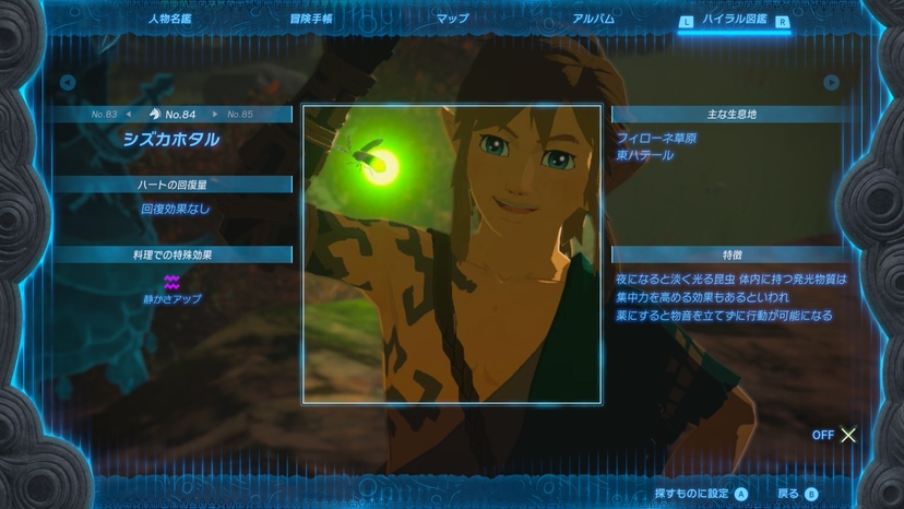シズカホタル