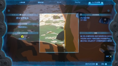 ガッツガエル