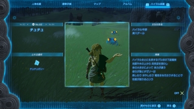 チュチュ