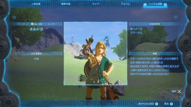 ネルドラ