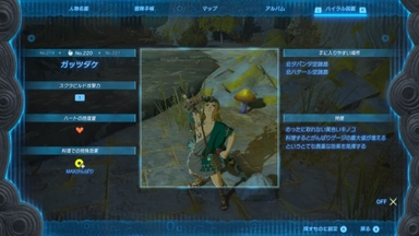 ガッツダケ
