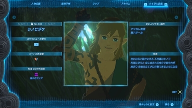 シノビダケ