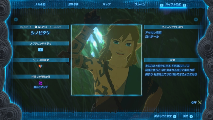 シノビダケ