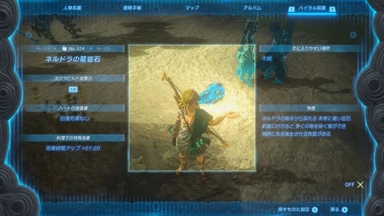 ネルドラの龍岩石