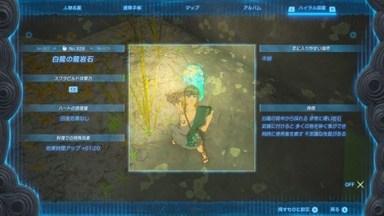 白龍の龍岩石