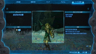 古びた木の盾